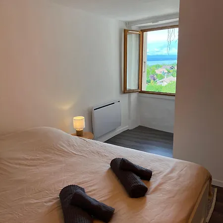 Charmante Maison De Village A 10min De Thonon-les-bains * Allinges